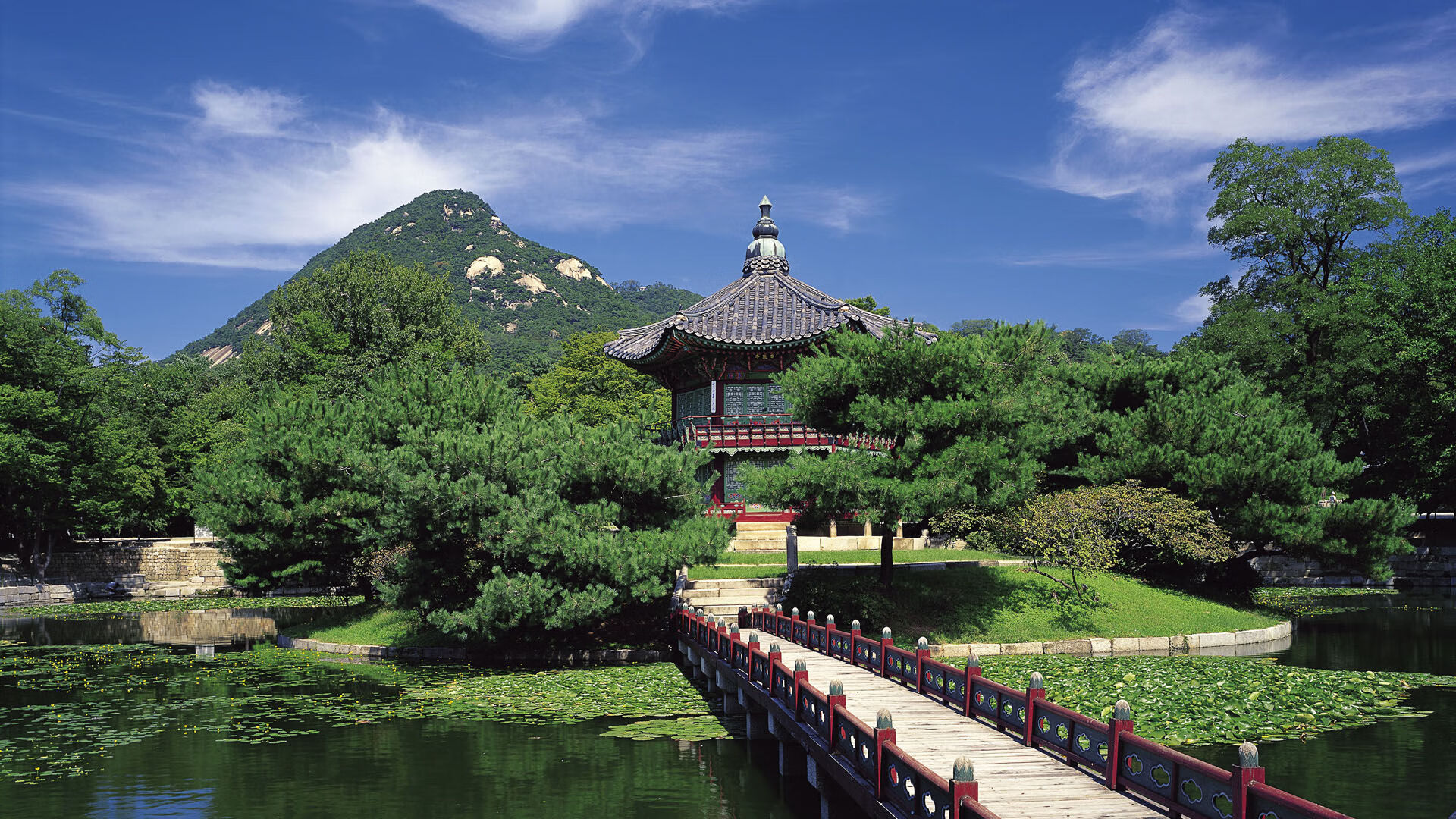 世界举重青训营康复训练师继续教育证书发放公告，世界举重队